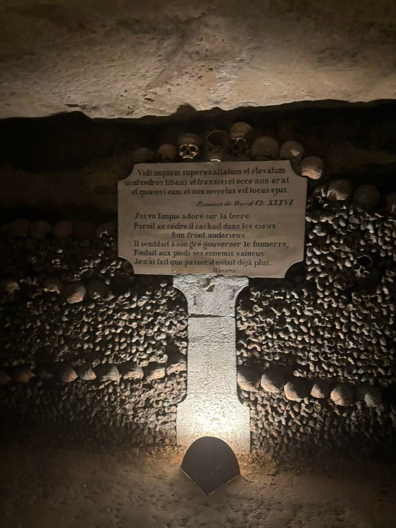 再发点这几天的碎片Catacomb下水道博物馆（被臭得十分钟出来R的worksh