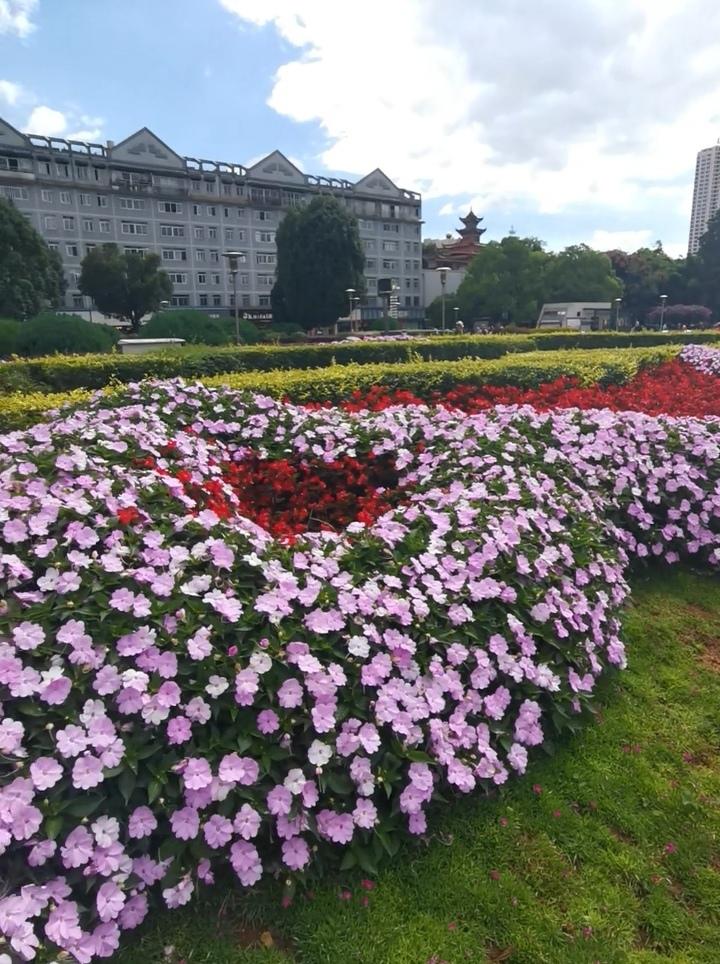 天气不错，我把一切乱七八糟的事情都先丢到一边，一个人出来走走逛逛，偷得浮生半日闲