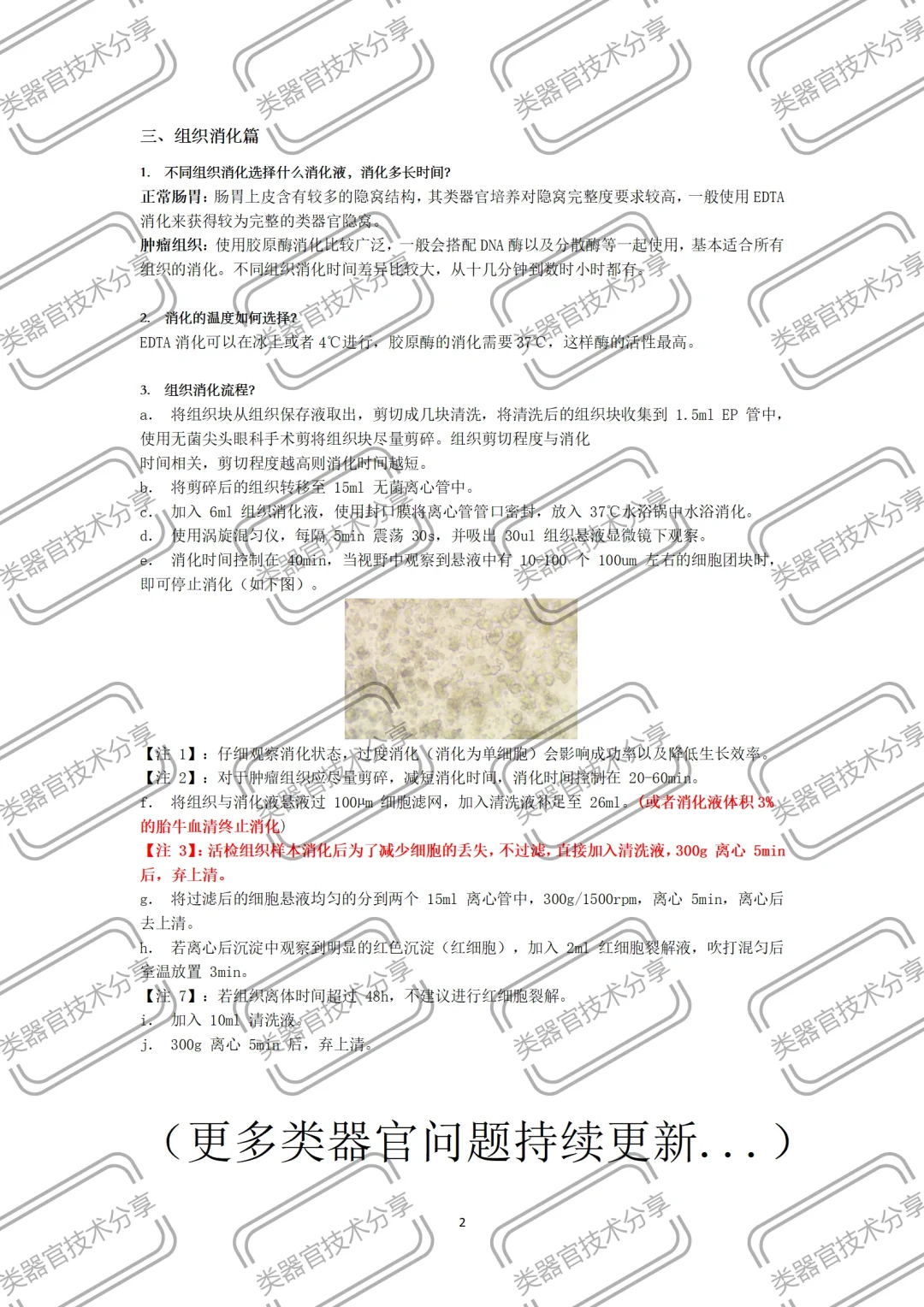 新手必备 | 类器官知识全程讲解 一