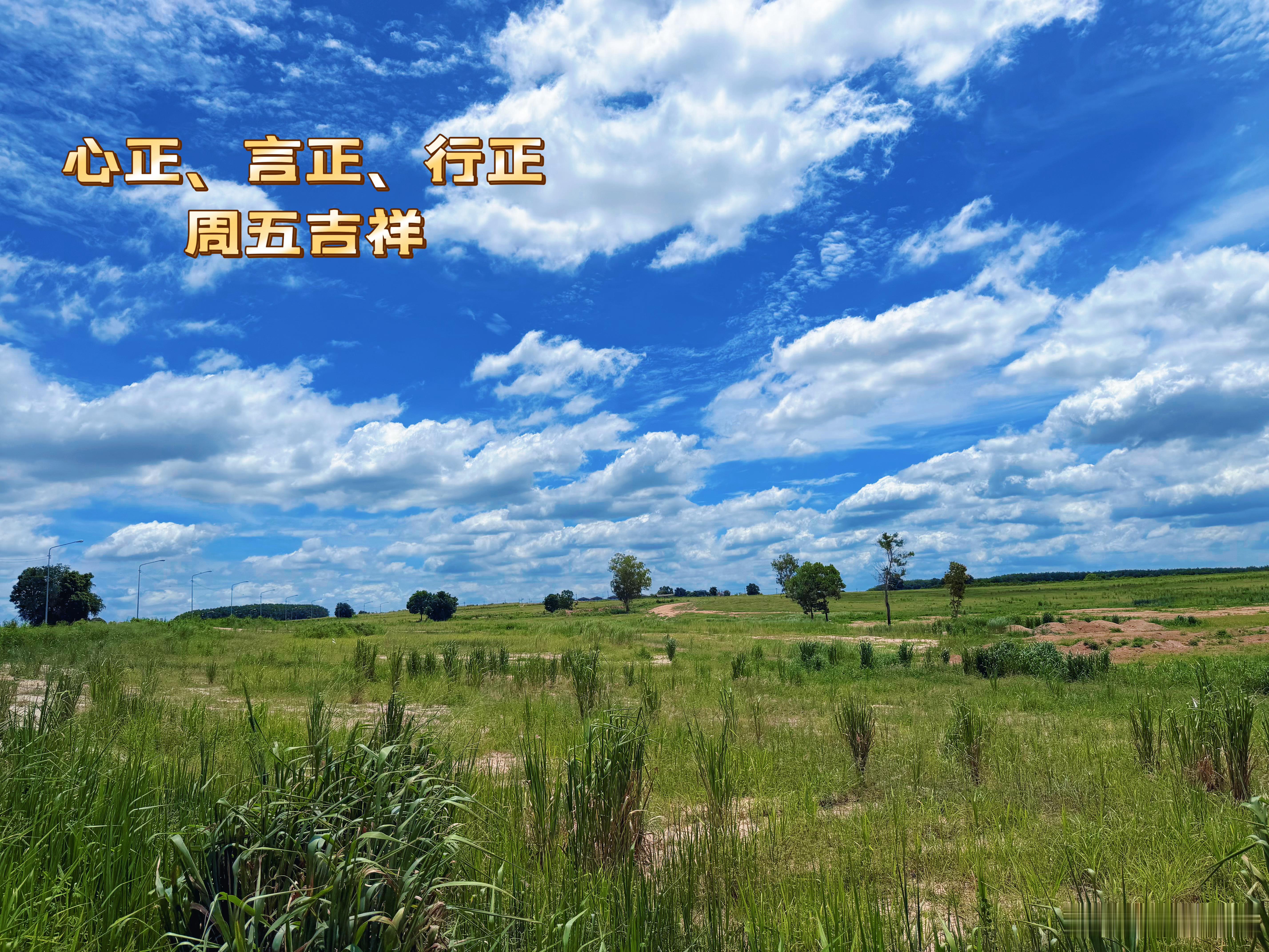 心正、言正、行正。周五吉祥！ 泰国·罗勇康塔斯特艾酒店(The Contrast
