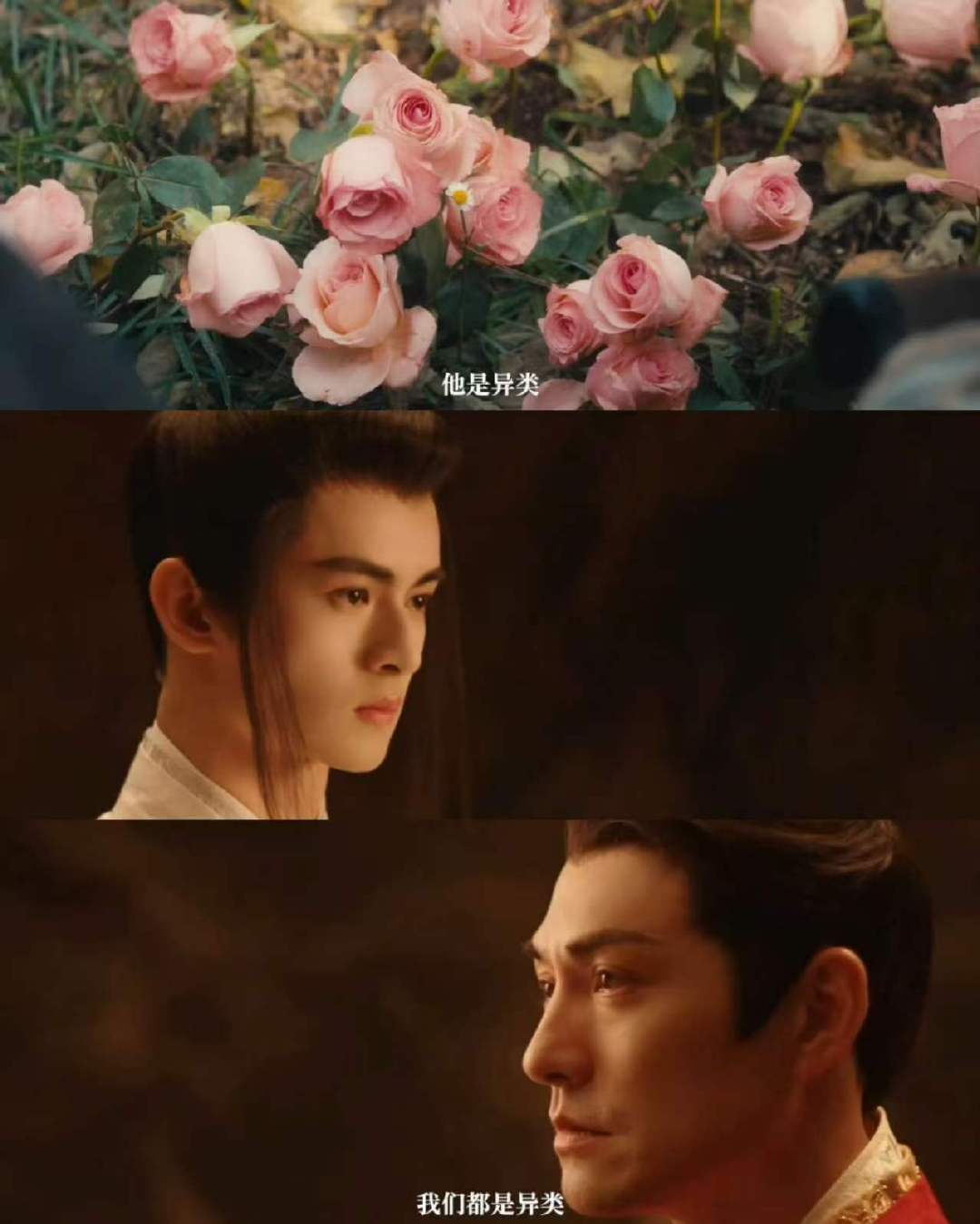 严屹宽周历杰乘风游严屹宽苦果亦是果 严屹宽周立杰《乘风游》来了！ 