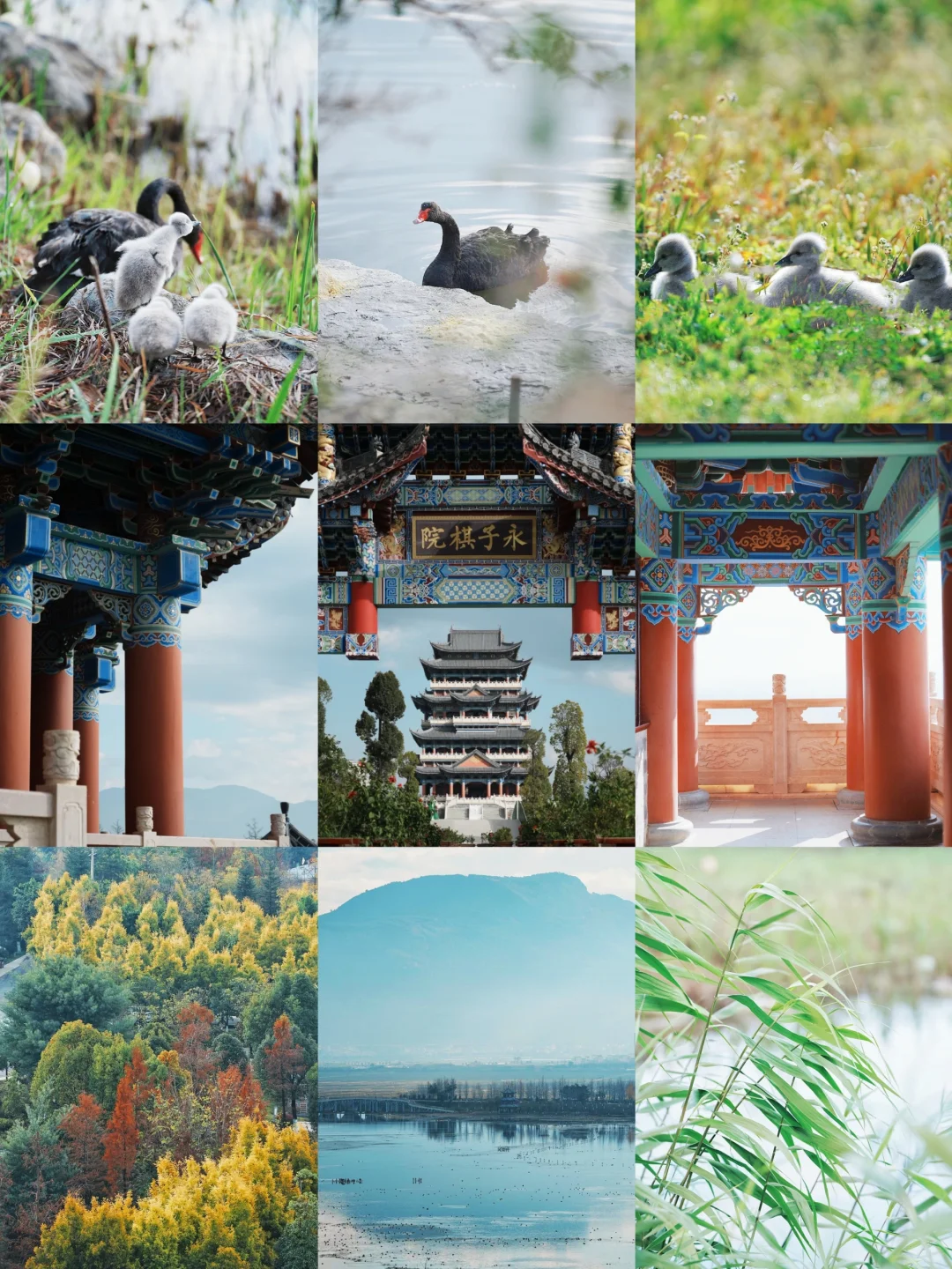 城市中的桃花源，带你走进如画云南保山