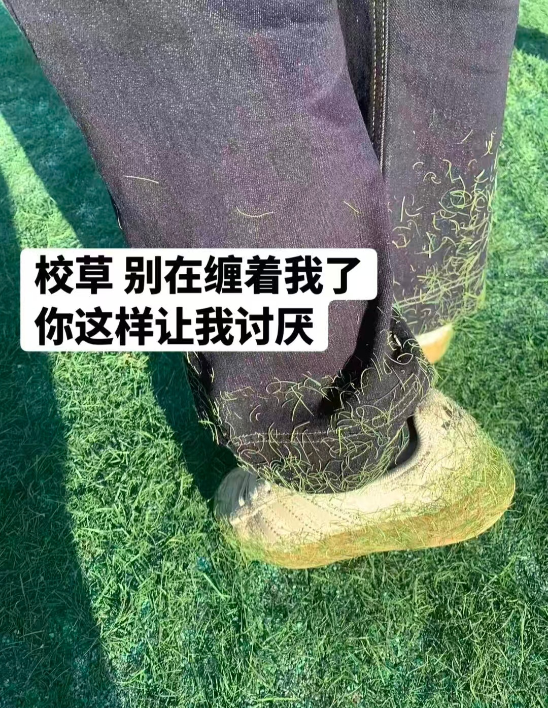 “校草”占有欲太强了怎么办 