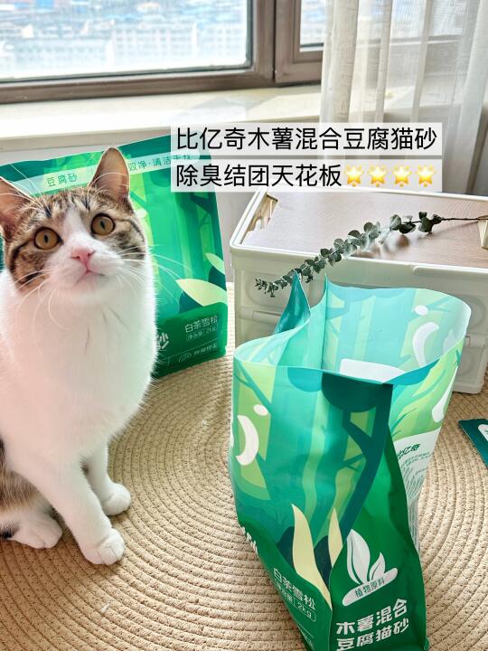 木薯混合猫砂一定是多猫家庭天花板‼️