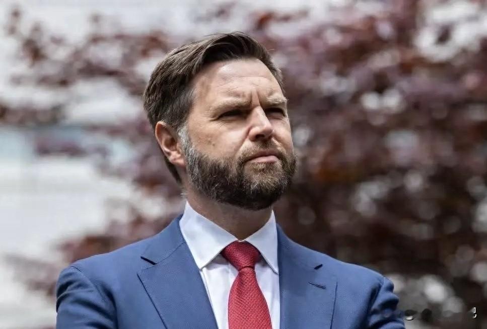 美国副总统万斯表示，将通过欧洲多个盟友国家向乌克兰提供战斧巡航导弹。战斧巡航导弹