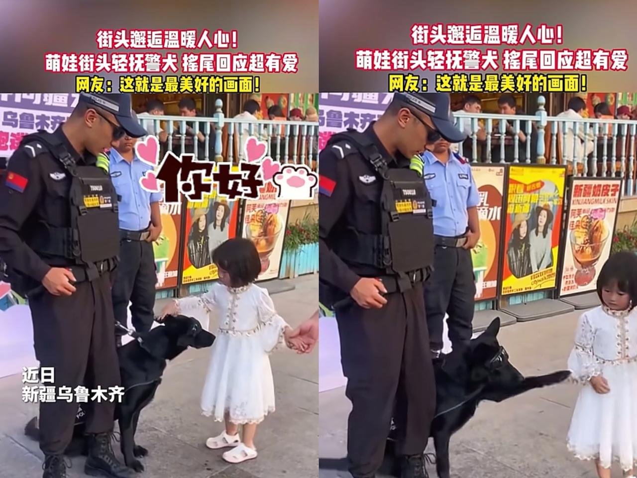 “彻底解释不清楚了”
新疆，帽子叔叔带着警犬执勤，
一小女孩路过，不禁
停下脚步