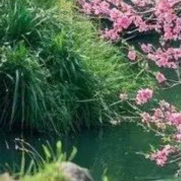 聆听大自然山涧小溪，清澈见底大山深处自然美 