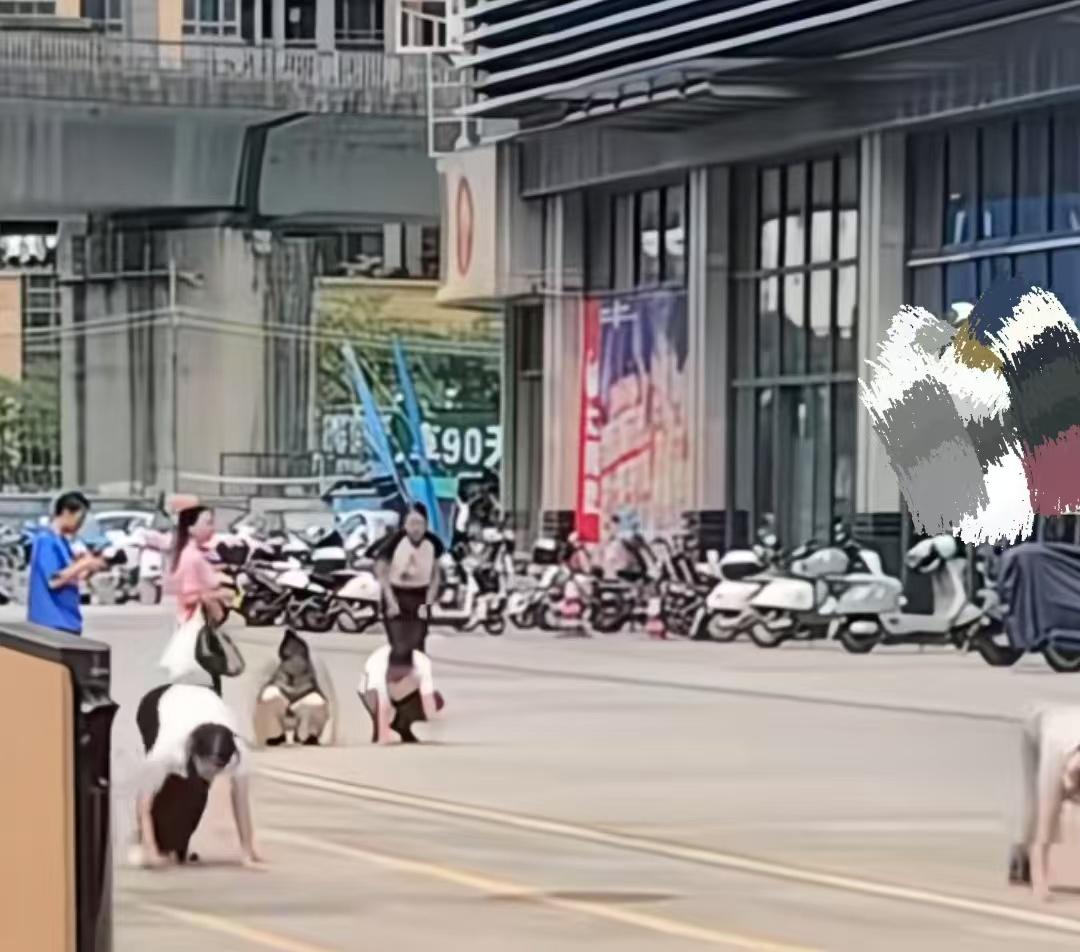 广东惠州街头多名男女在地上爬行学狗叫，当地社区回应疑为某公司制度，正在调查是哪家