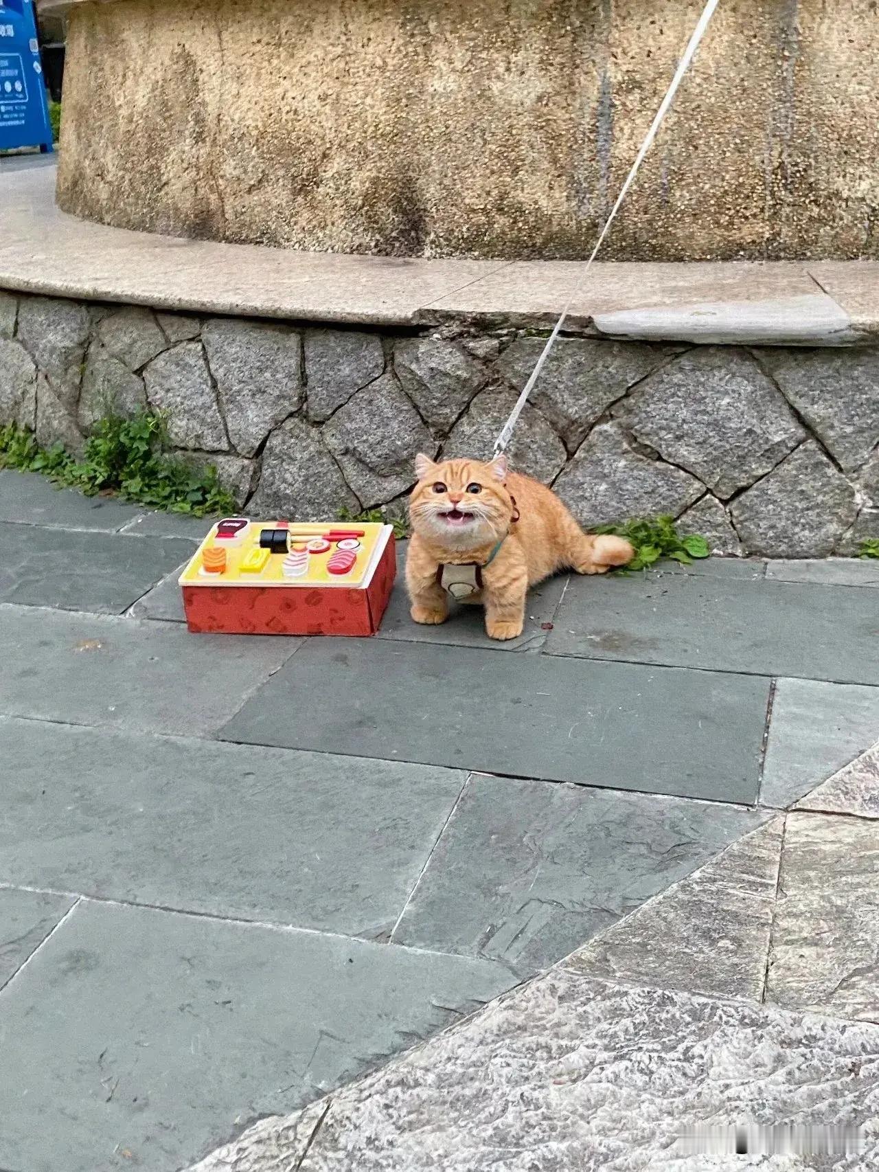 宝宝会摆摊补贴家用啦！​​​