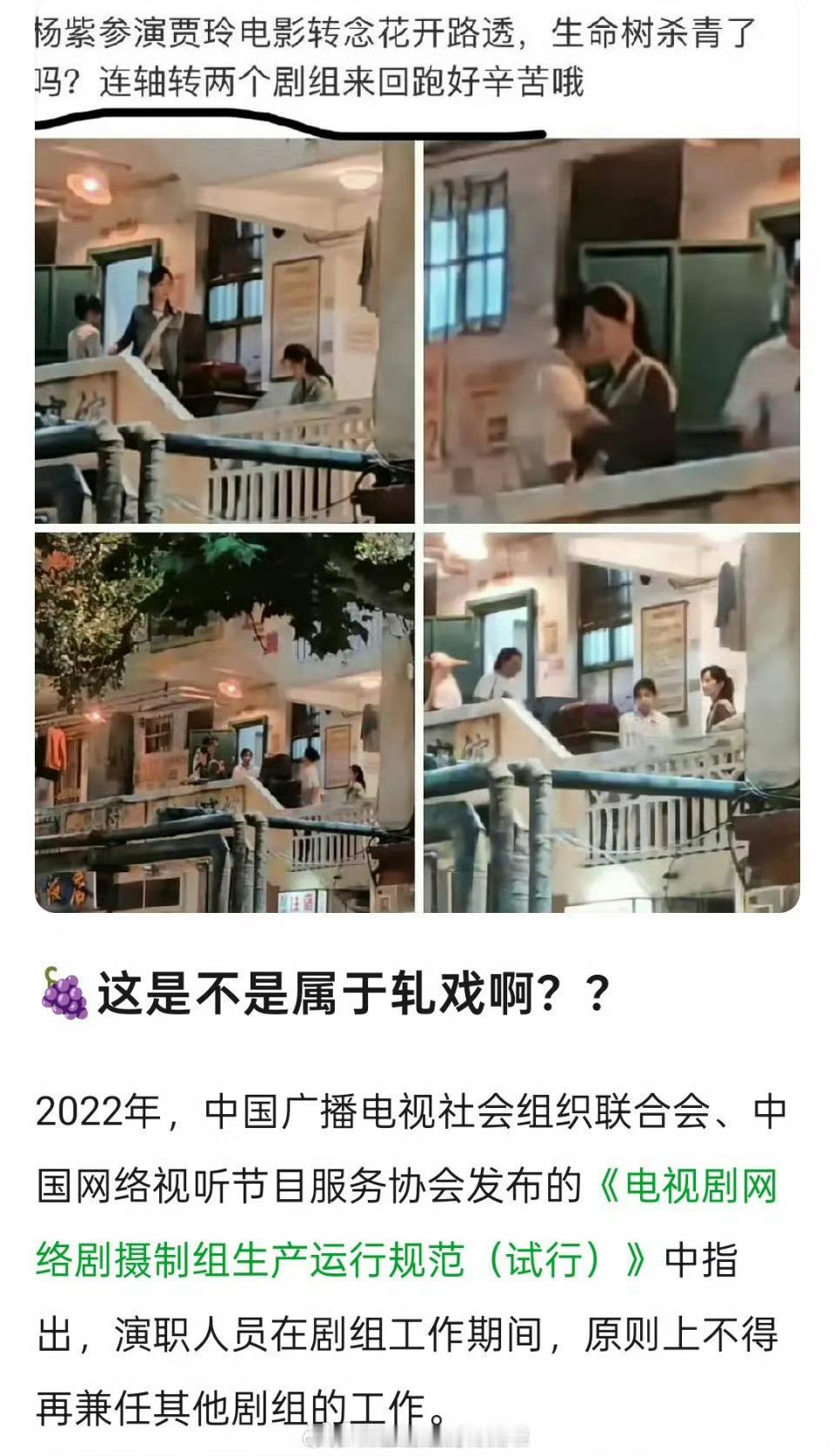 杨紫被质疑轧戏电影《转念花开》和电视剧《生命树》也有网友解释《转念花开》只是客串