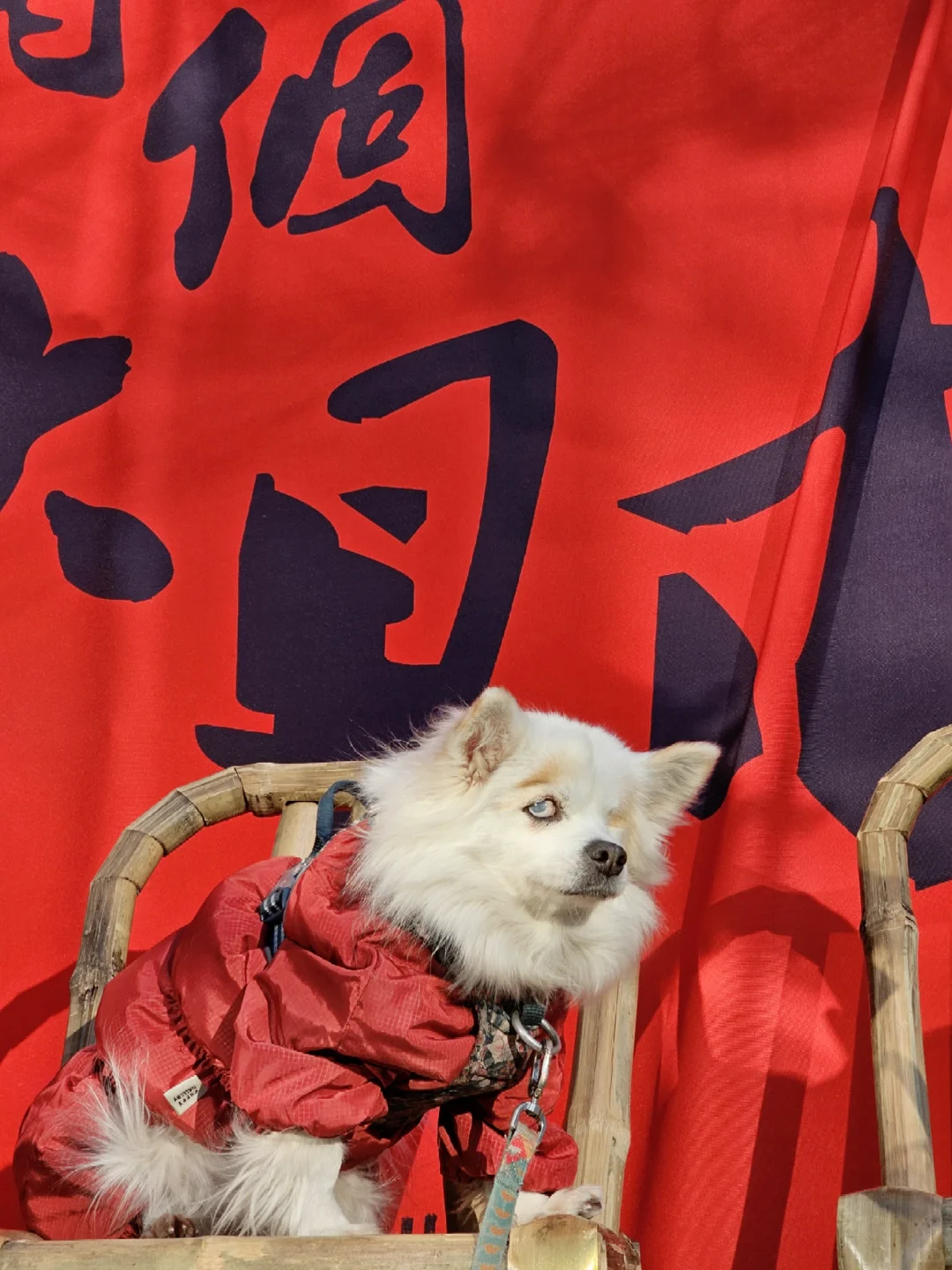我的棉袄比街上姨姨们的都红💯