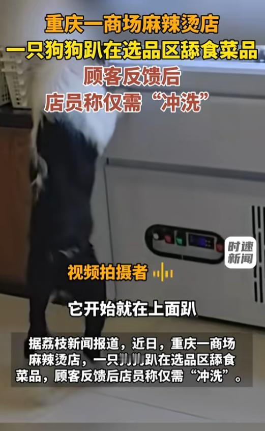 “这种事为啥屡次发生？”7月20日报道，重庆，一家大商场内的麻辣烫店，一只狗狗不