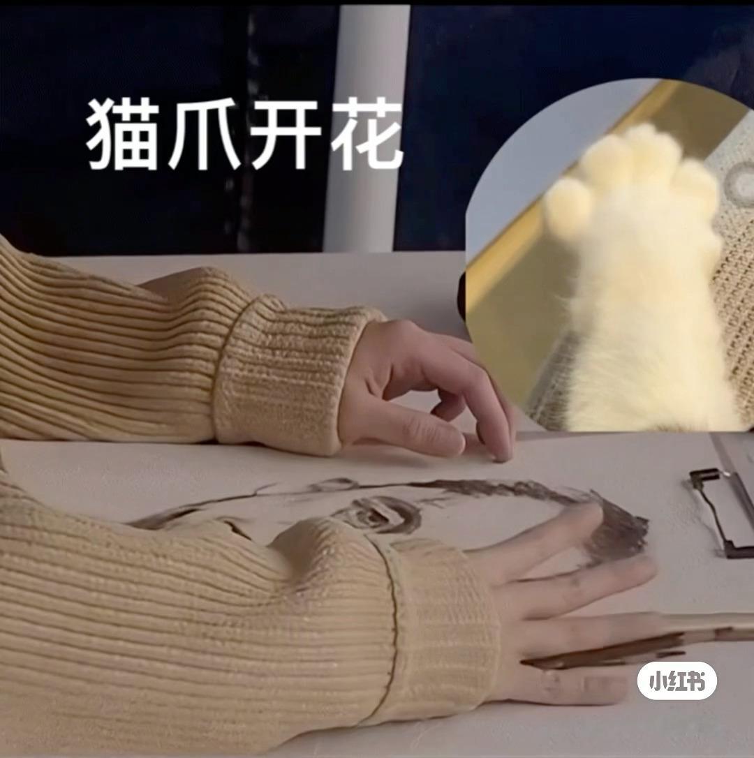 沈翊 沈翊猫猫的日常