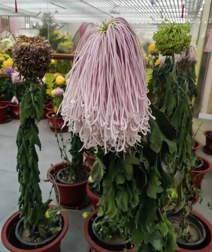 分享一下你的小癖好 