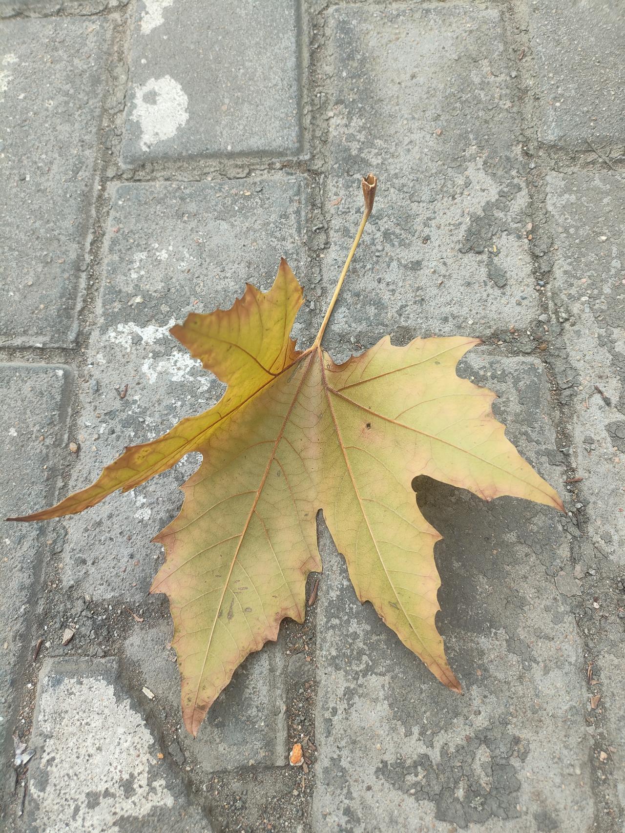 今天听到一句话，说老师跟医生是反人性的两个职业
至于原因，他说人的天性就是玩，但