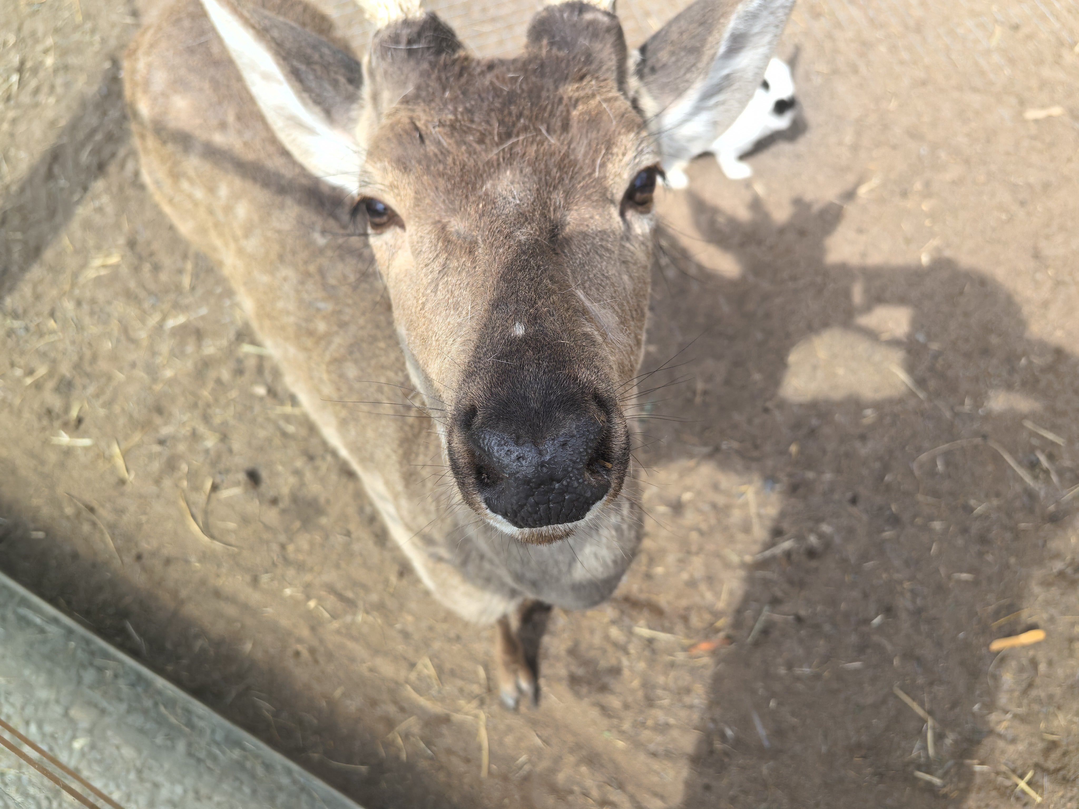 尊敬的，您是不是🔒住了我的ss？您知不知道这样让我非常非常的苦恼～您既然都把我