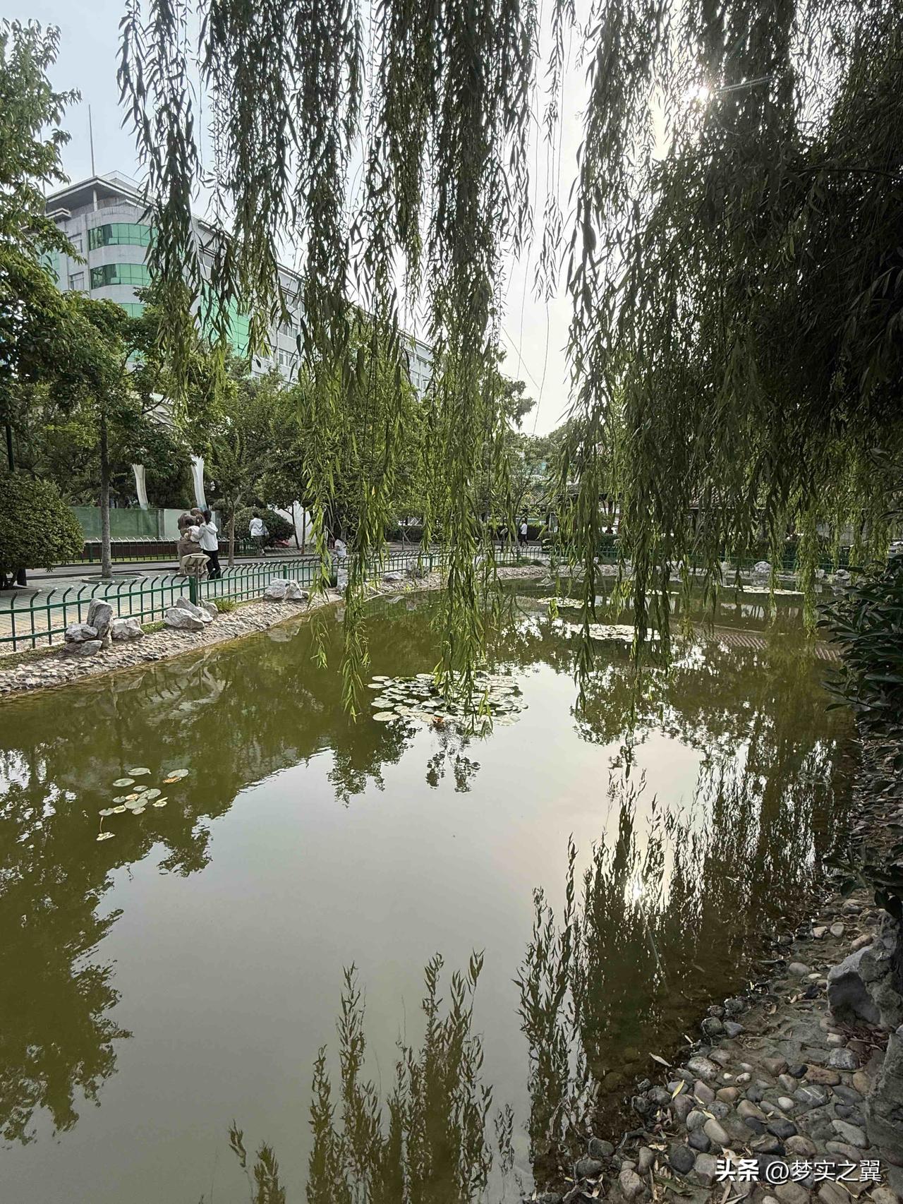 【小对联】
上：重建；
下：……？