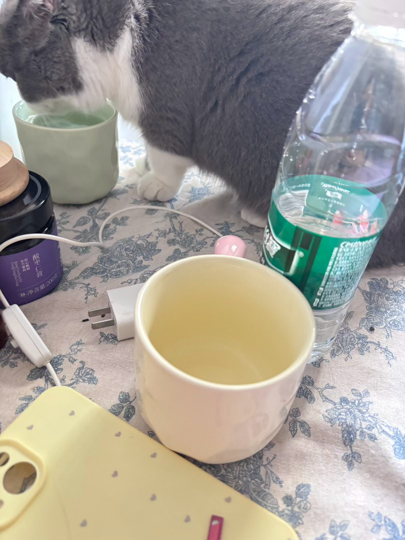 咪果然偷喝我杯子里的水了，昨天睡前我用自己的杯子接了好多水，然后今天起来看见杯子