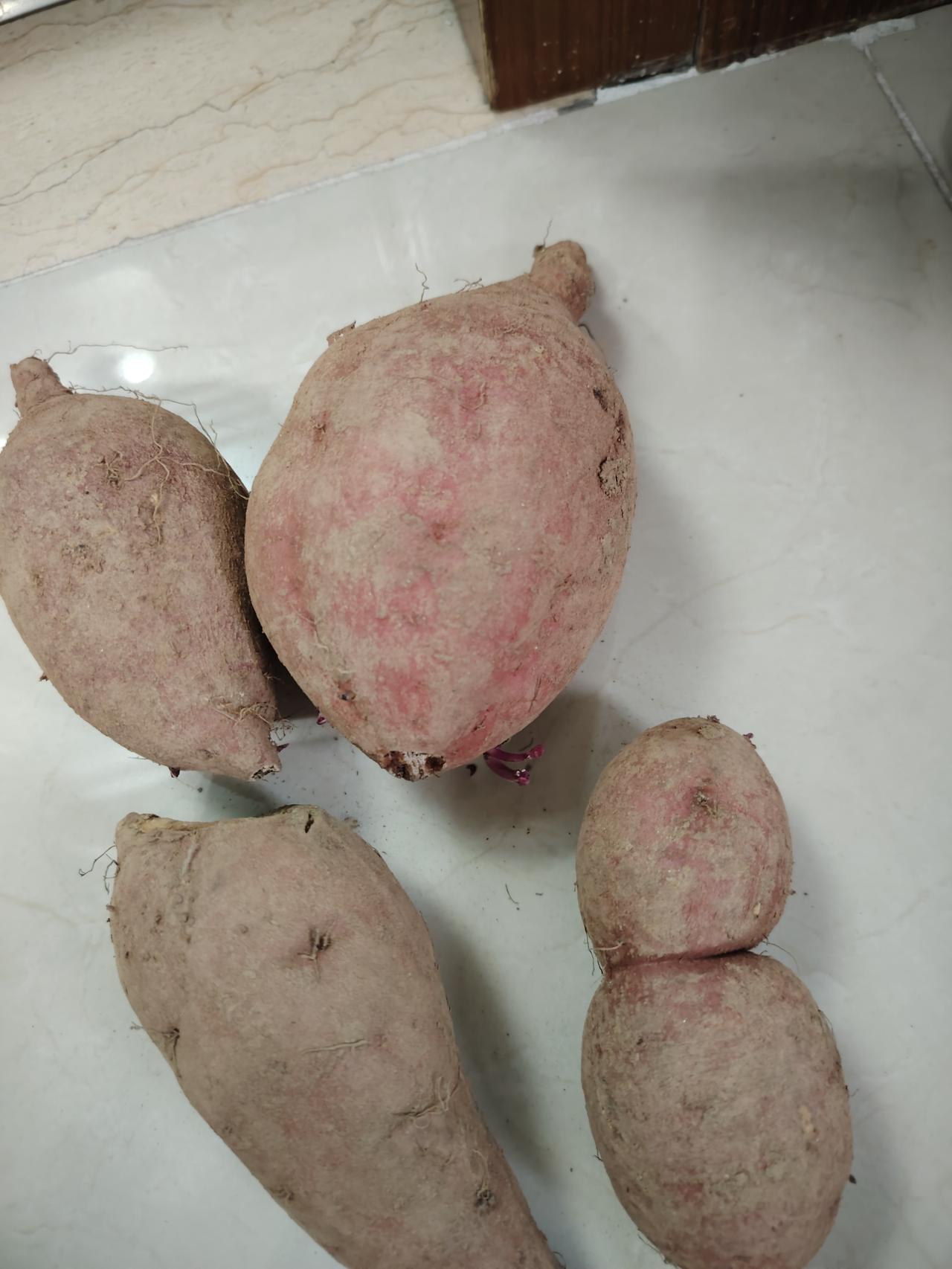 一场直播，超10万件农产品，这才是助农的正确打开方式！

我一直觉得，真正的助农