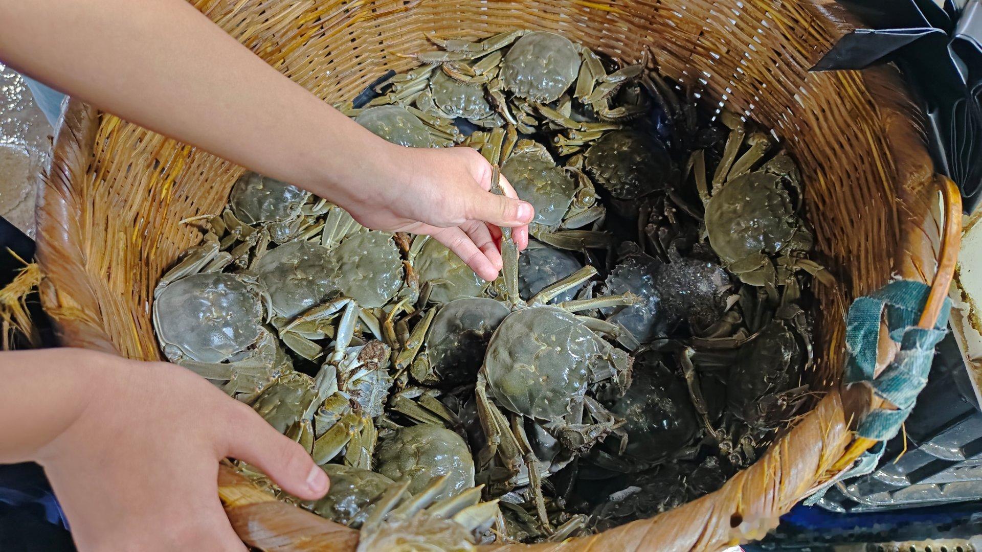 今天决定休息一天，（其实还有好多件事没干，而且都挺着急的），一大早带我儿去海鲜市