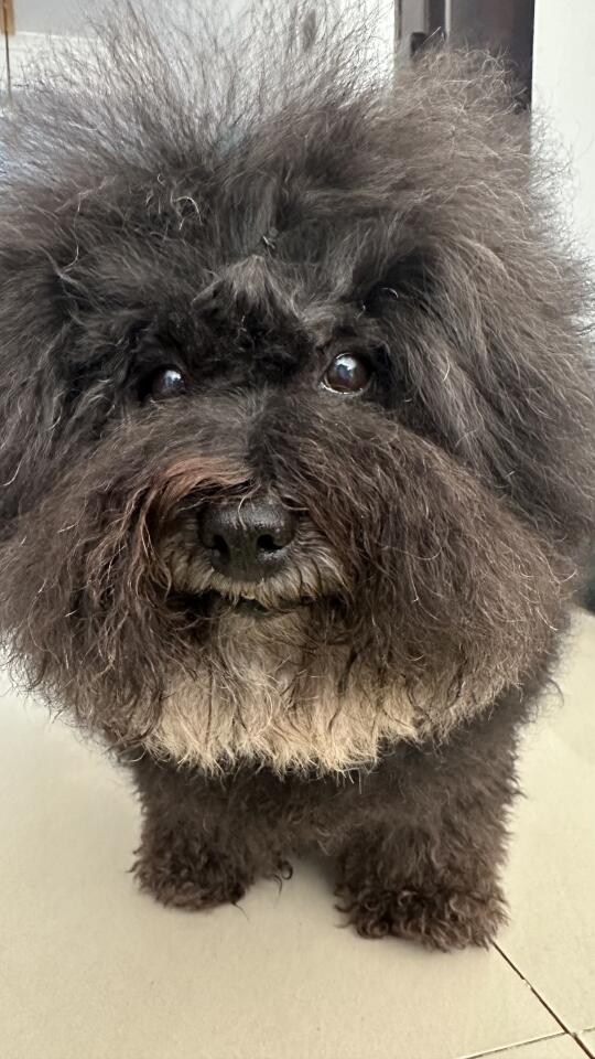 可以帮我一个忙吗？