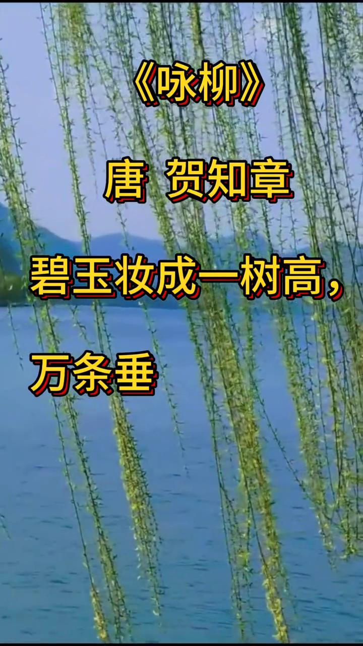 《咏柳》
唐，贺知章。
碧玉妆成一树高，万条垂下绿丝绦。
不知细叶谁裁出，二月春