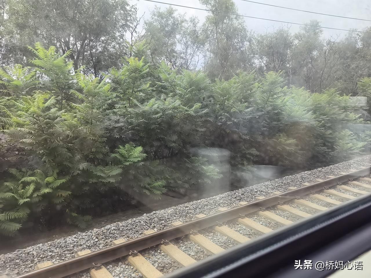 我表哥从上海回来了，刚进家门，就把行李箱往地上一摔，闷声说：“打死我也不去了！”
