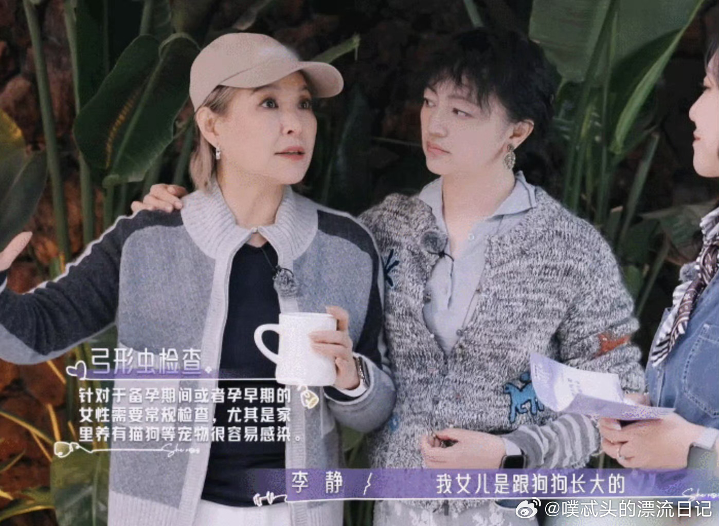 李静怀孕后为了狗差点离家出走摒弃老一辈固有偏见，按时做好孕检与宠物防疫，宝宝和宠
