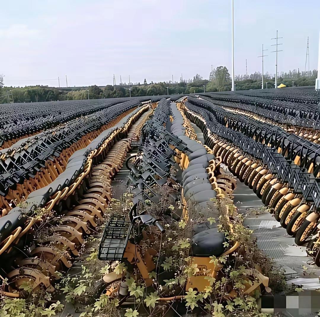 一眼望去，都是钱，那都是投资人的钱，就摆在那里吃草吃土，晒太阳，确实挺浪费的。但