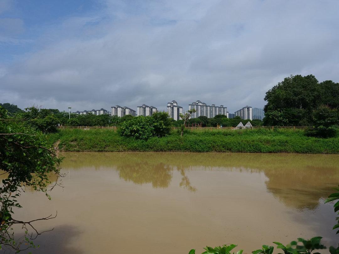短暂的蓝天白云之后又开始下雨☔️了，今年的7月雨真多哦蓝天白云蓝天白云 富士GF