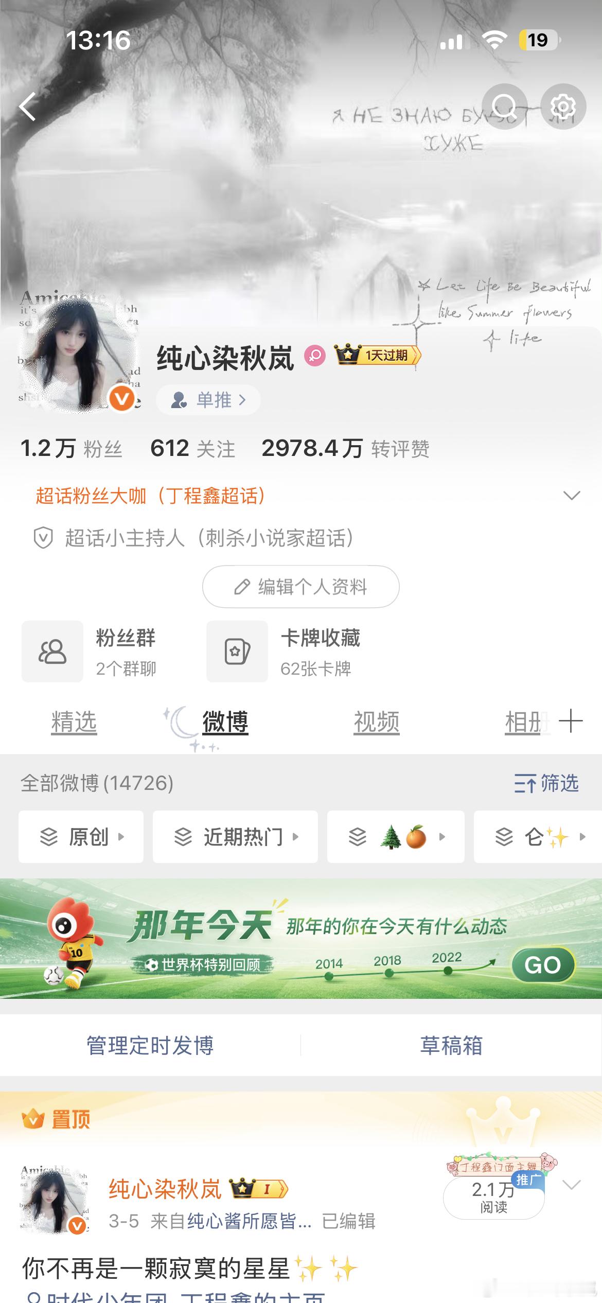 我的vvip你别离开我