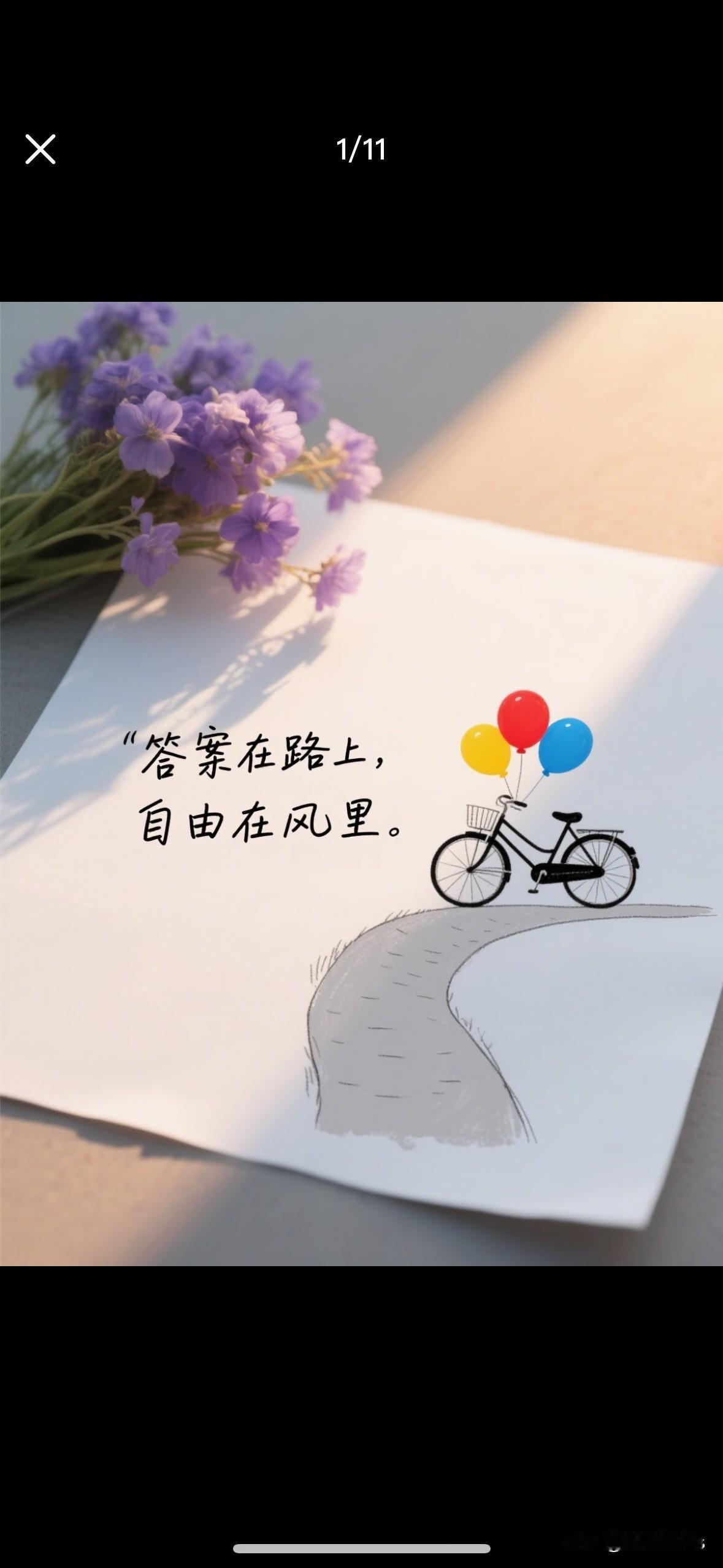 十一月末，
要洒脱地告别与翻篇。
冬虽草木落，
愿君苒苒，向春生。