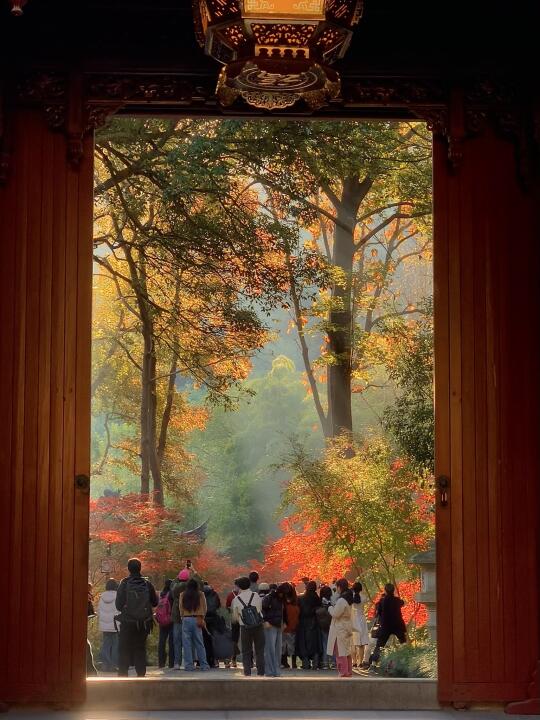 Live实拍‼️秋冬永福寺已经美到nextlevel…