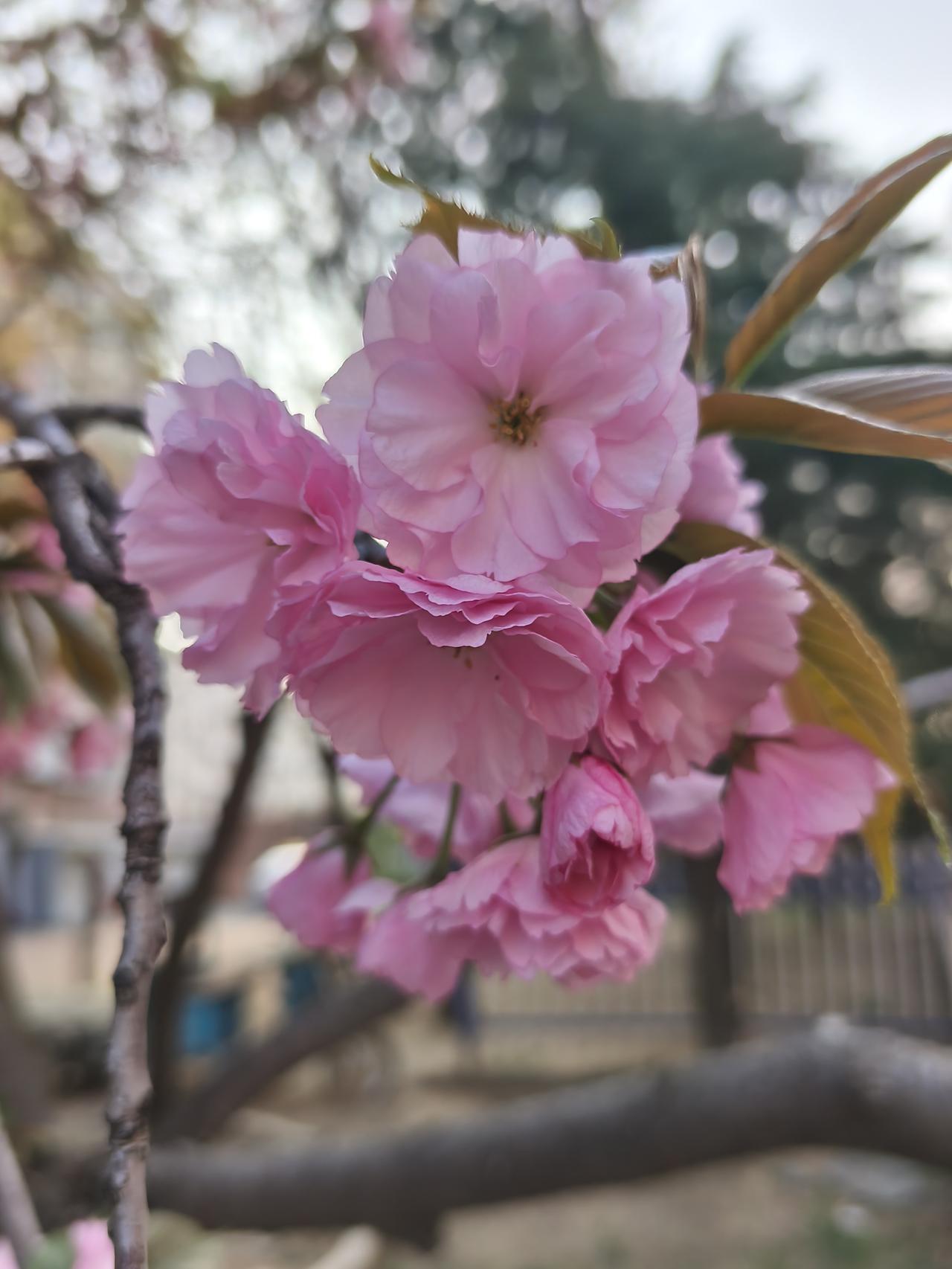 每天进步一点点！真的是为你高兴，每一次与你交流，都觉得你比上次交流，更成熟！考虑