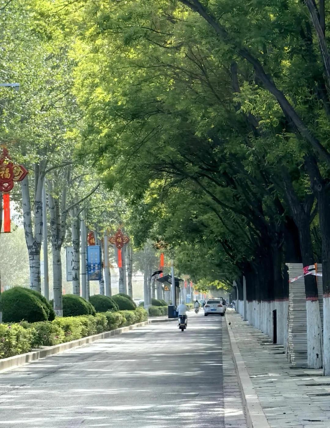 银川的夏天即将到来