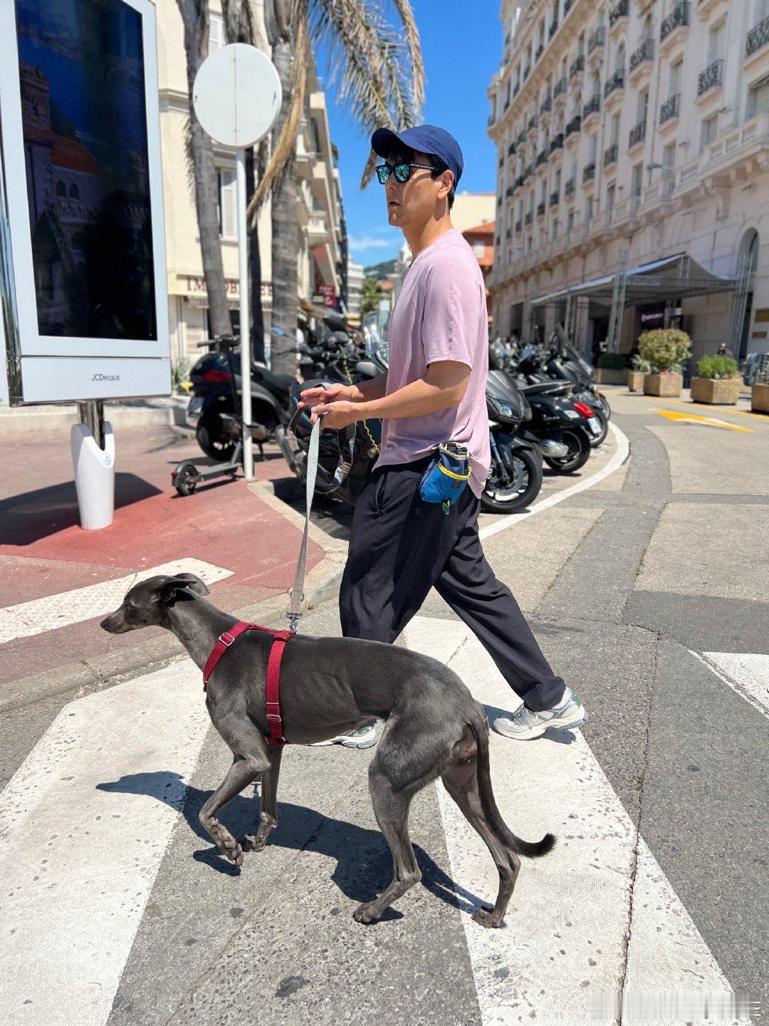 阳光正好，微风不燥，这样的天气最适合跑步了！今天我也学彭于晏，出门跑步去！#彭于