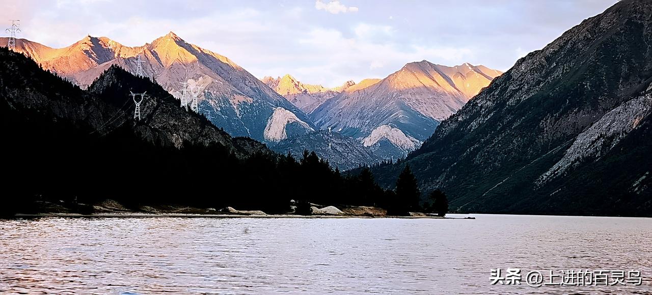 柴桑大姐就如许姚夫妇一道坚实的防火墙，为许姚夫妇遮风挡雨，守护着真相的大门。如今