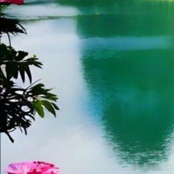 不要轻易让自己掉眼泪，你笑的时候，全世界跟着笑。但你哭的时候，全世界只有你一个人