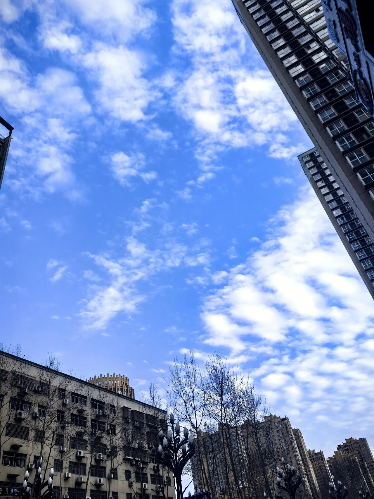 春日生活打卡季抬头看向天空，瓦蓝瓦蓝的，乌云散去，露出蓝天白云，空气清新，一切都