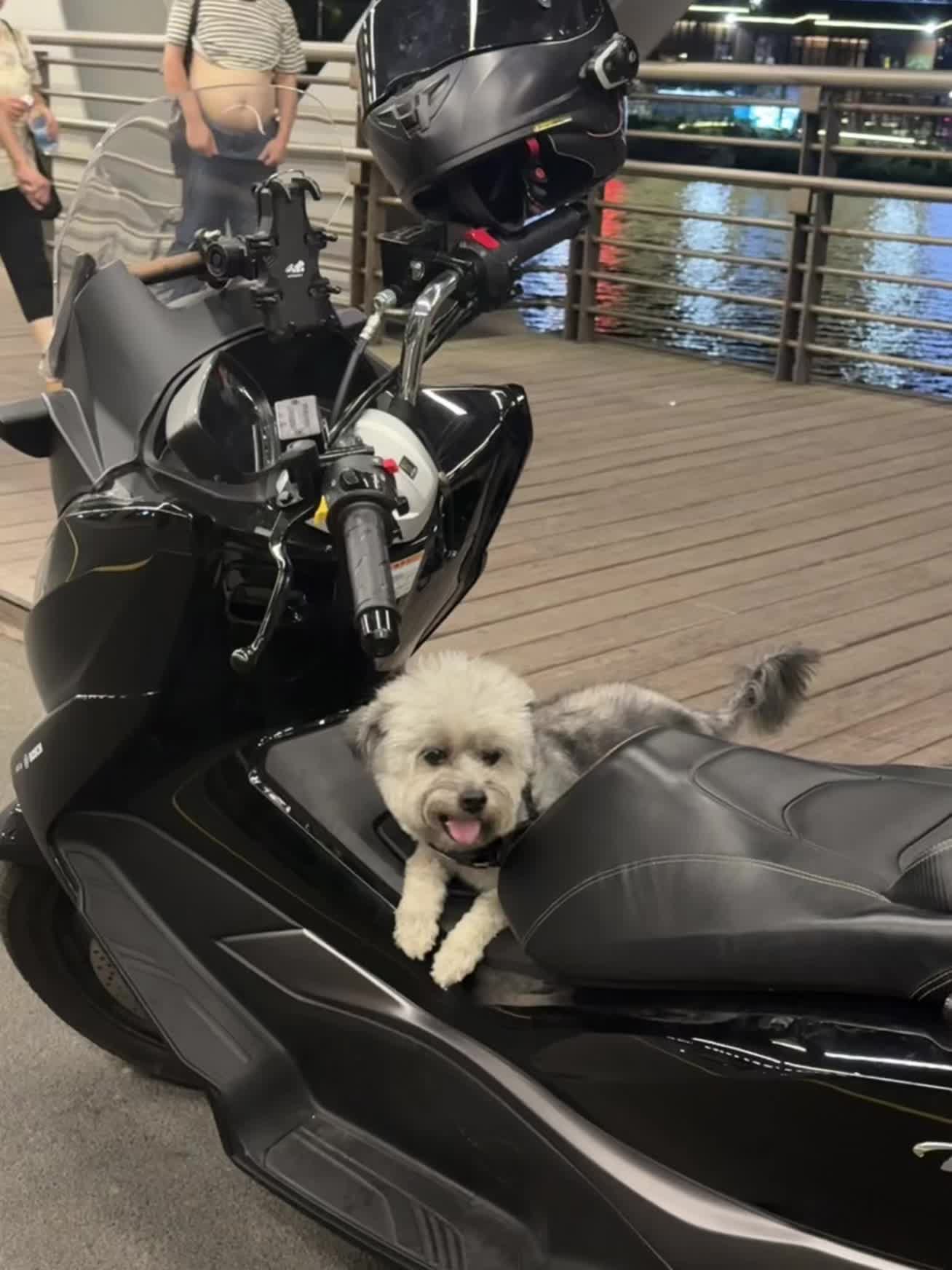 好自觉的撅着个腚就等着上路