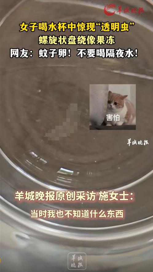 “太吓人了！”云南大理，一女子起床前喝了半杯隔夜水后，竟然惊奇地发现杯子里面有一