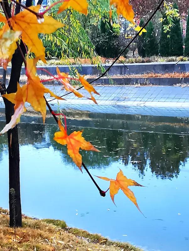 上联：吟秋且看霜飞雨，安子邀对对月闲斟酒入诗。