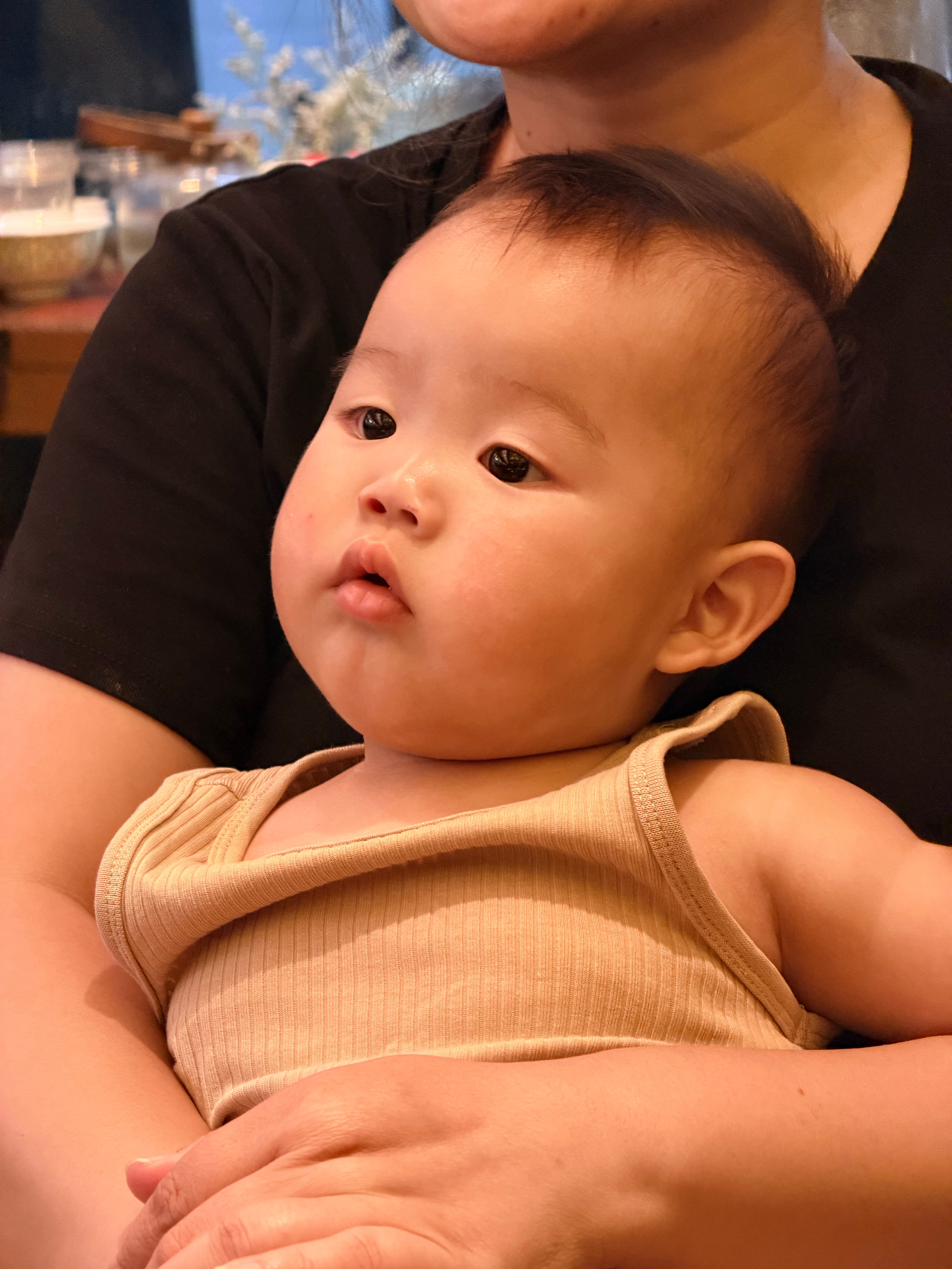 参与饭局的小宝宝