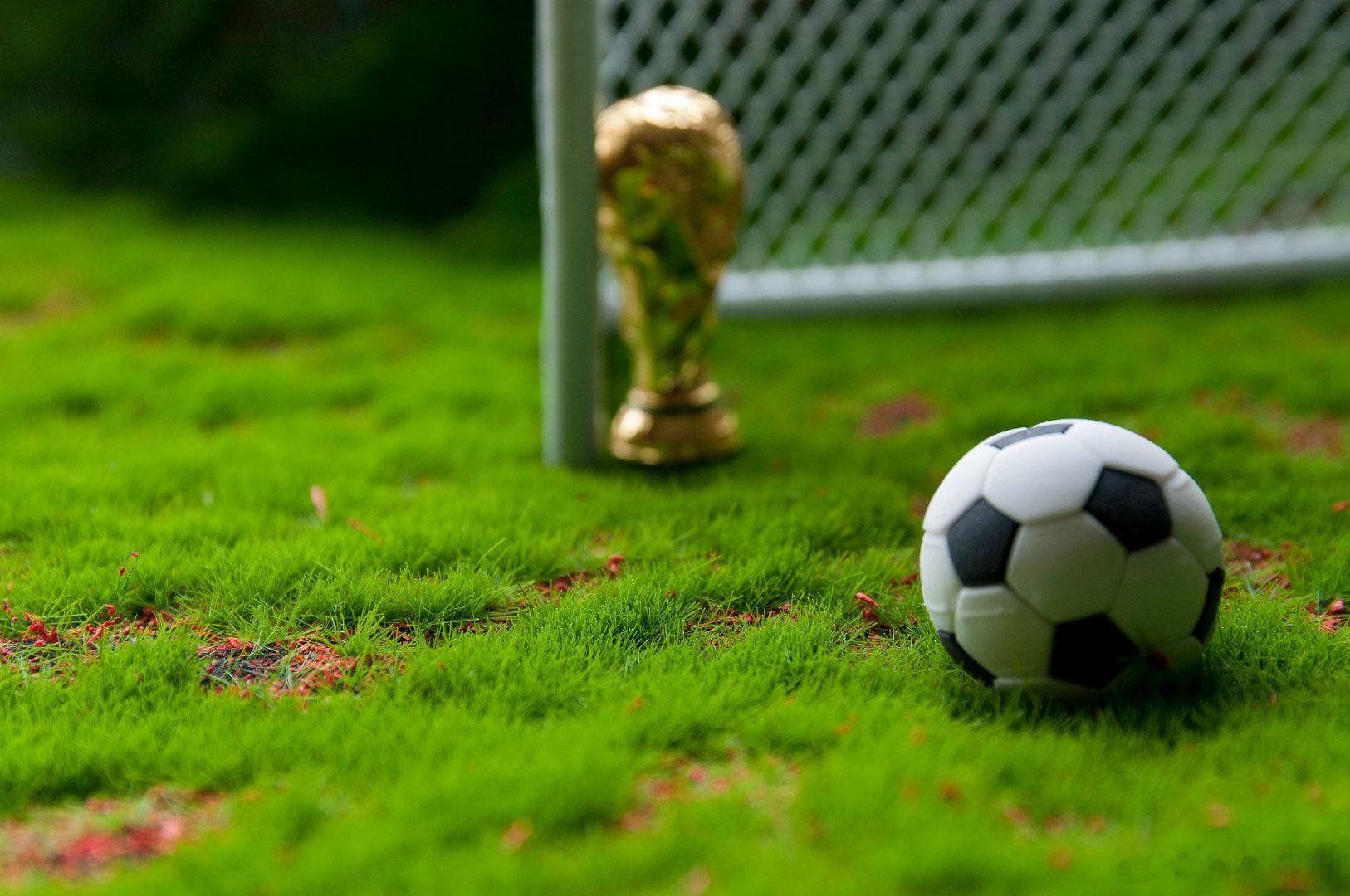 【2026年世界杯或成史上最赚钱赛事】6月8日，国际足联（FIFA）预计，本次美