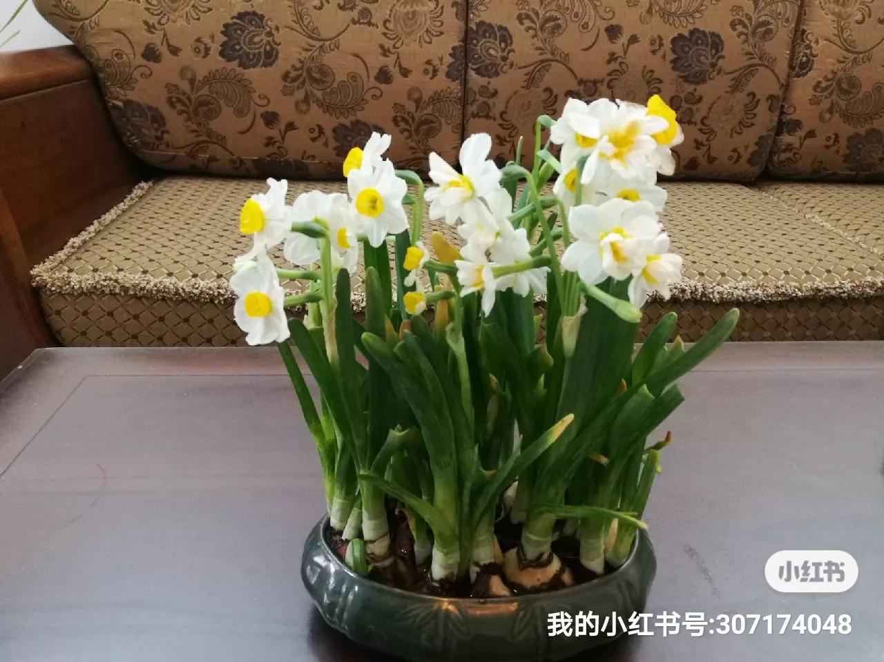 我和占医生相识在2O20年的春夏之交，那时我受牙病的困扰去某医疗机构就诊，是占医