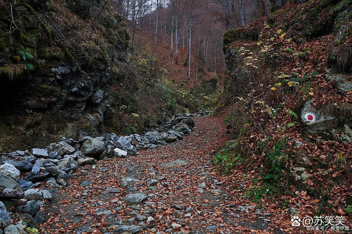 本地人私藏固原，山间小径，六盘山清幽小众徒步路线

真不是吹，这条线是我蹲了三个