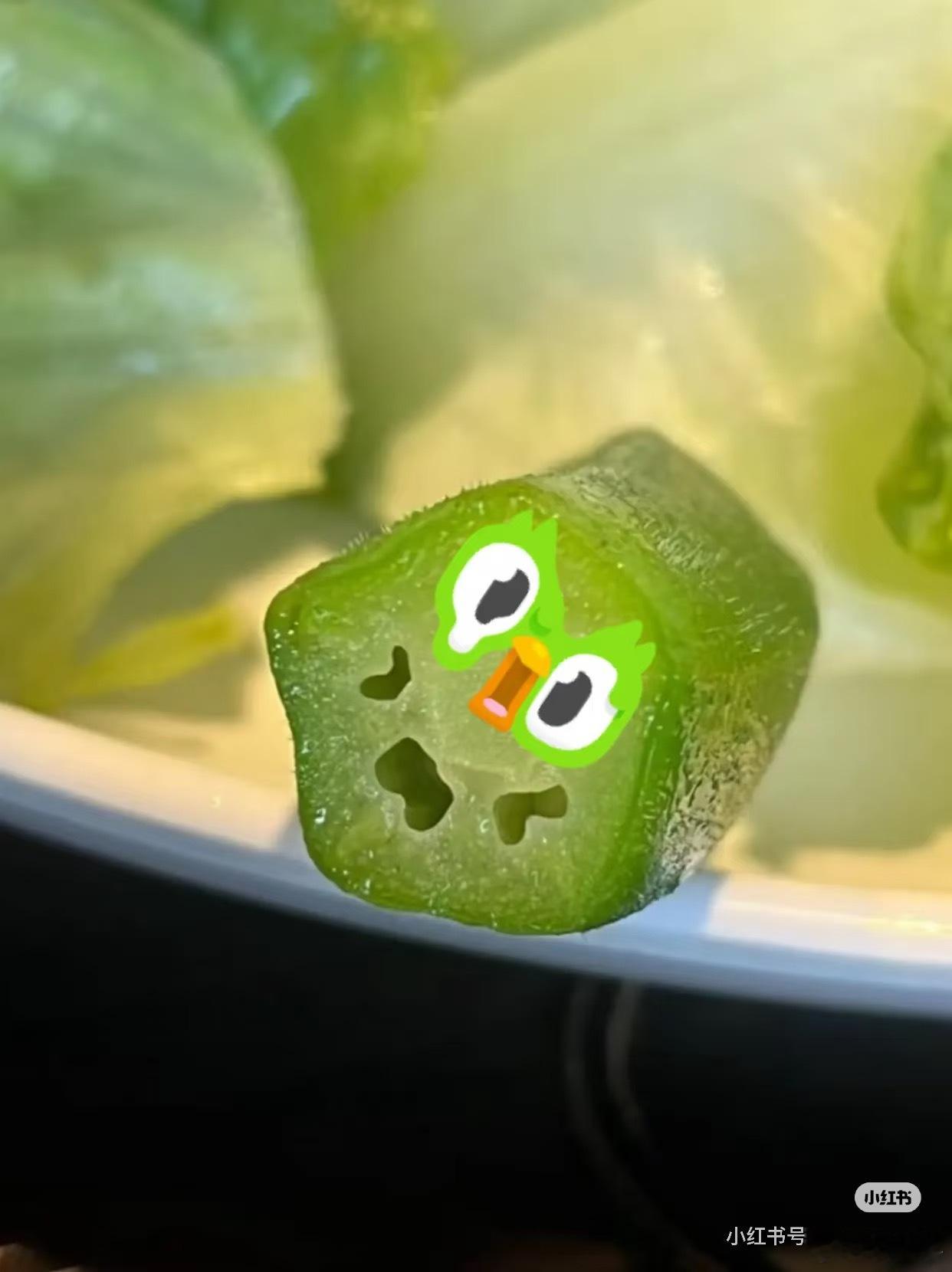 多邻国多儿处处滚多儿滚好家伙！戏精多儿直接溜进我的花园里，藏起来啦🌿一身标志性