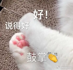 真不真的先不说，看着好欢乐啊
