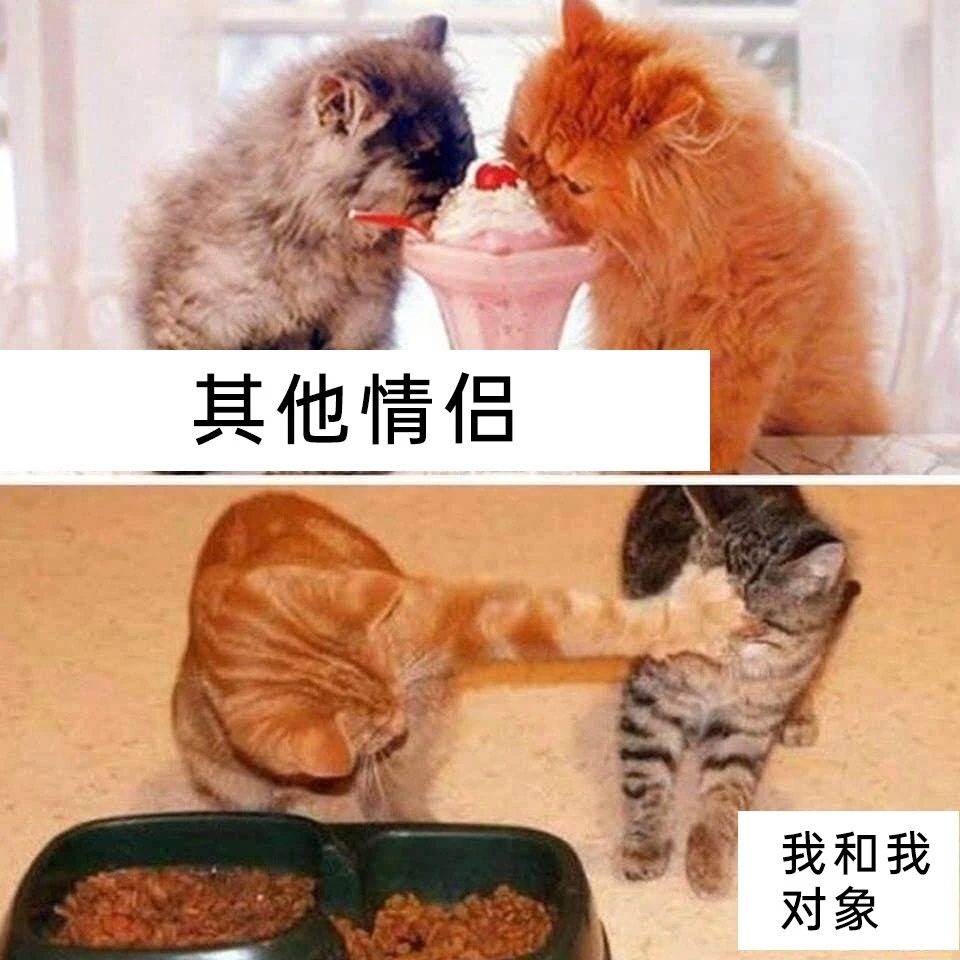 日常护食 