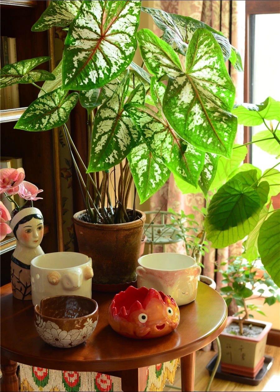 真漂亮的叶子，钩一个